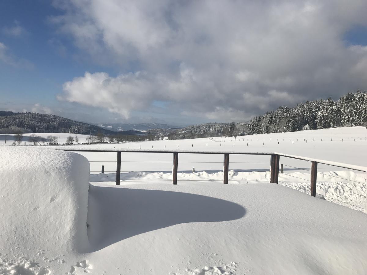 Vila Pasecna - Lipno Přední Výtoň Exterior foto